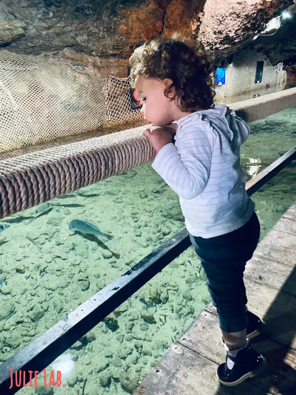 Aquarium Cap Blanc Ibiza