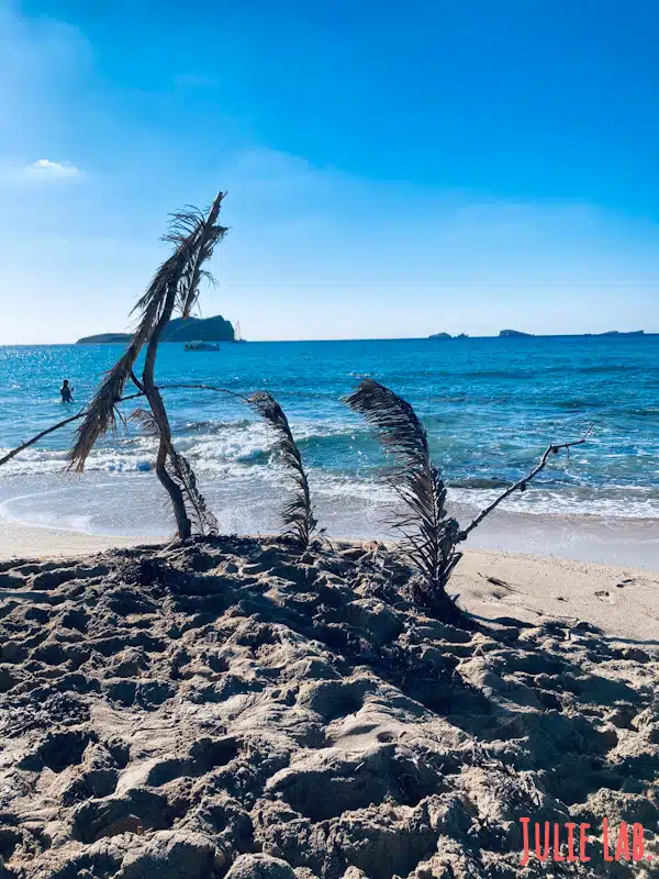Cala Conta Ibiza
